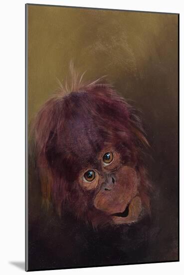 Baby orang-utan 2, 2010-Odile Kidd-Mounted Giclee Print