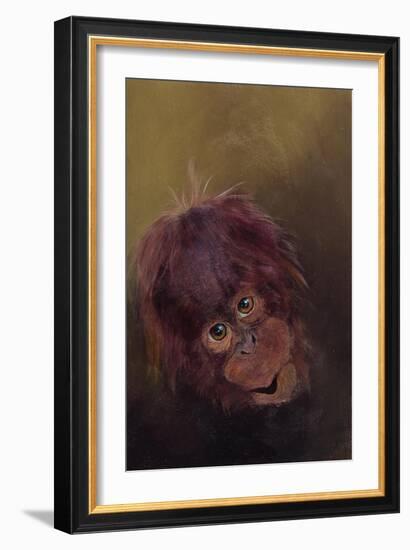 Baby orang-utan 2, 2010-Odile Kidd-Framed Giclee Print