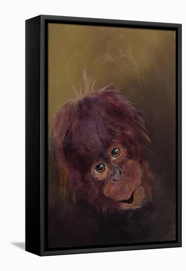 Baby orang-utan 2, 2010-Odile Kidd-Framed Premier Image Canvas