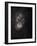 Baby orang-utan 3, 2015-Odile Kidd-Framed Giclee Print