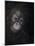 Baby orang-utan 3, 2015-Odile Kidd-Mounted Giclee Print