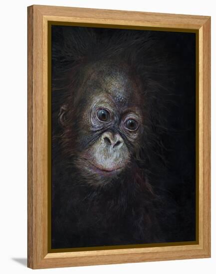 Baby orang-utan 3, 2015-Odile Kidd-Framed Premier Image Canvas