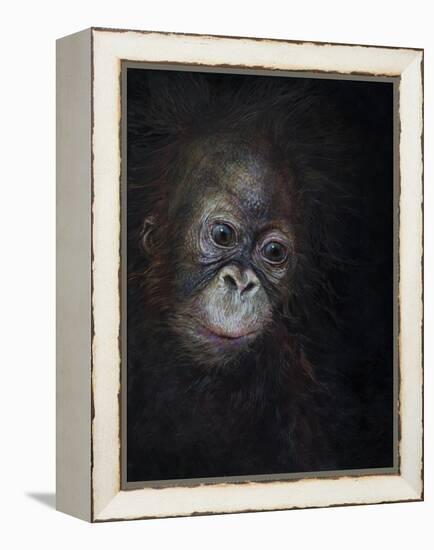 Baby orang-utan 3, 2015-Odile Kidd-Framed Premier Image Canvas