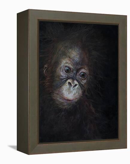 Baby orang-utan 3, 2015-Odile Kidd-Framed Premier Image Canvas