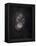Baby orang-utan 3, 2015-Odile Kidd-Framed Premier Image Canvas