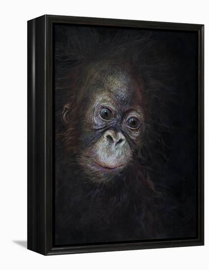 Baby orang-utan 3, 2015-Odile Kidd-Framed Premier Image Canvas