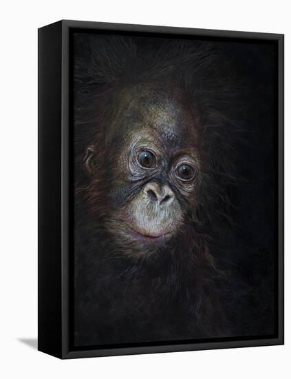 Baby orang-utan 3, 2015-Odile Kidd-Framed Premier Image Canvas