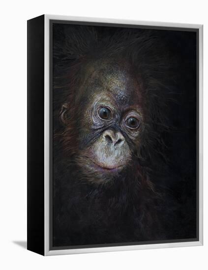 Baby orang-utan 3, 2015-Odile Kidd-Framed Premier Image Canvas