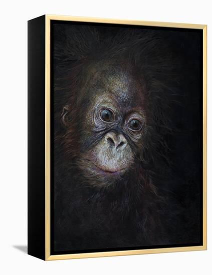 Baby orang-utan 3, 2015-Odile Kidd-Framed Premier Image Canvas