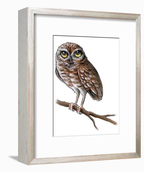 Baby Owl Painting-Avel Krieg-Framed Art Print