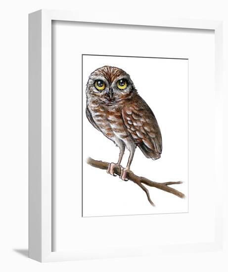 Baby Owl Painting-Avel Krieg-Framed Art Print