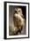 Baby Owl-Vivienne Dupont-Framed Art Print