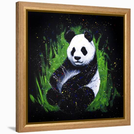 Baby Panda-null-Framed Stretched Canvas