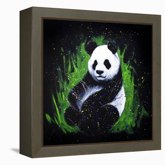 Baby Panda-null-Framed Stretched Canvas