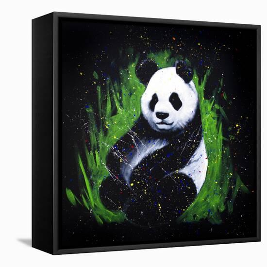 Baby Panda-null-Framed Stretched Canvas