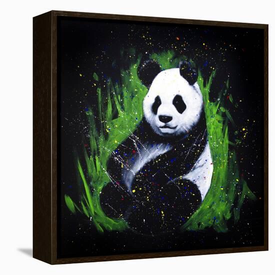 Baby Panda-null-Framed Stretched Canvas