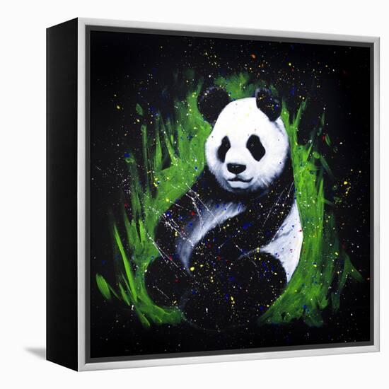 Baby Panda-null-Framed Stretched Canvas