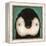 Baby Penguin-Ryan Fowler-Framed Stretched Canvas