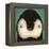 Baby Penguin-Ryan Fowler-Framed Stretched Canvas