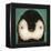 Baby Penguin-Ryan Fowler-Framed Stretched Canvas