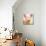 Baby Pig-Kimberly Allen-Mounted Art Print displayed on a wall