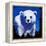 Baby Polar Bear-null-Framed Stretched Canvas