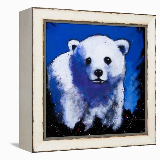 Baby Polar Bear-null-Framed Stretched Canvas