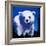 Baby Polar Bear-null-Framed Art Print