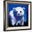 Baby Polar Bear-null-Framed Art Print