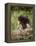 Baby Porcupine in Captivity, Animals of Montana, Bozeman, Montana, USA-James Hager-Framed Premier Image Canvas