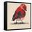 Baby Red Bird I-Patricia Pinto-Framed Stretched Canvas