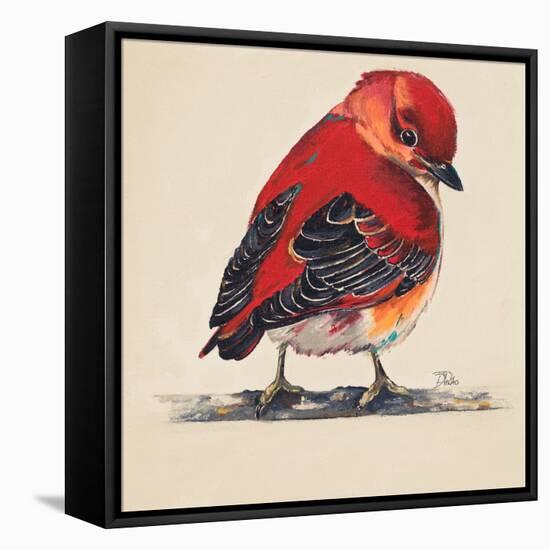 Baby Red Bird I-Patricia Pinto-Framed Stretched Canvas