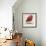 Baby Red Bird I-Patricia Pinto-Framed Art Print displayed on a wall