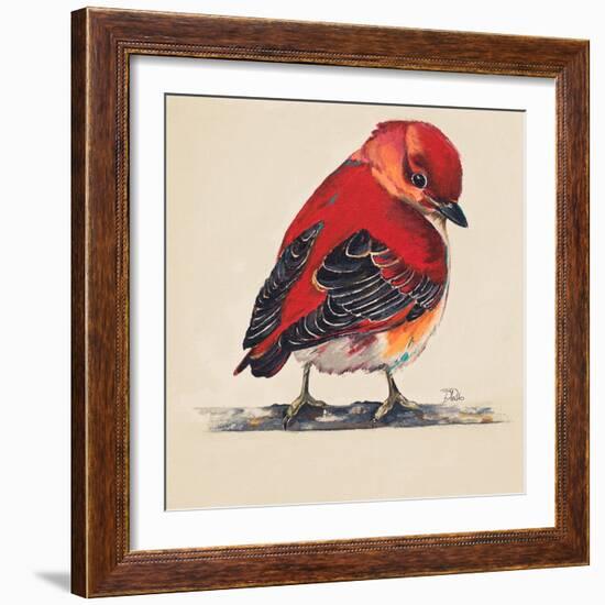 Baby Red Bird I-Patricia Pinto-Framed Art Print