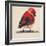 Baby Red Bird I-Patricia Pinto-Framed Art Print