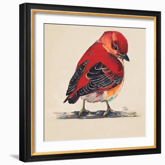 Baby Red Bird I-Patricia Pinto-Framed Art Print