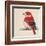 Baby Red Bird II-Patricia Pinto-Framed Art Print