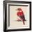 Baby Red Bird II-Patricia Pinto-Framed Art Print