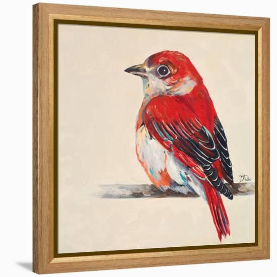 Baby Red Bird II-Patricia Pinto-Framed Stretched Canvas