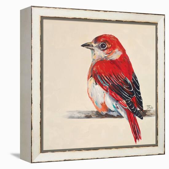 Baby Red Bird II-Patricia Pinto-Framed Stretched Canvas