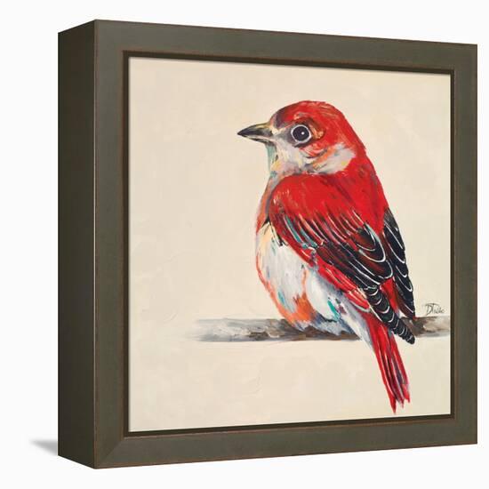 Baby Red Bird II-Patricia Pinto-Framed Stretched Canvas