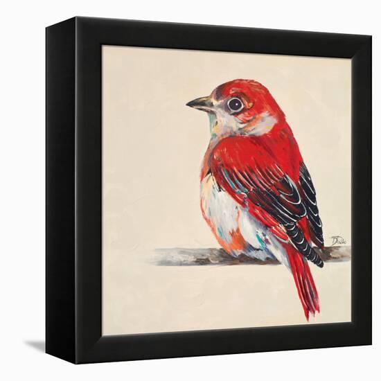 Baby Red Bird II-Patricia Pinto-Framed Stretched Canvas