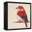 Baby Red Bird II-Patricia Pinto-Framed Stretched Canvas