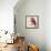 Baby Red Bird II-Patricia Pinto-Framed Stretched Canvas displayed on a wall