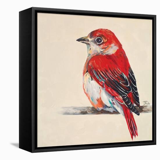 Baby Red Bird II-Patricia Pinto-Framed Stretched Canvas