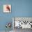 Baby Red Bird II-Patricia Pinto-Framed Stretched Canvas displayed on a wall