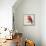 Baby Red Bird II-Patricia Pinto-Framed Stretched Canvas displayed on a wall