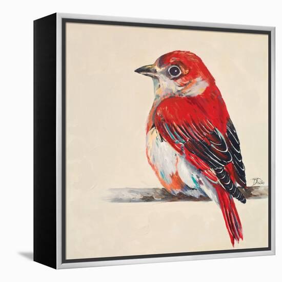 Baby Red Bird II-Patricia Pinto-Framed Stretched Canvas