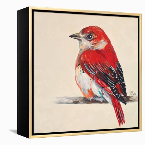 Baby Red Bird II-Patricia Pinto-Framed Stretched Canvas