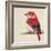 Baby Red Bird II-Patricia Pinto-Framed Art Print